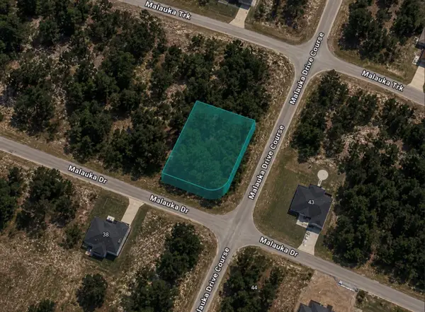 0 Malauka Drive, OCKLAWAHA, FL 32179