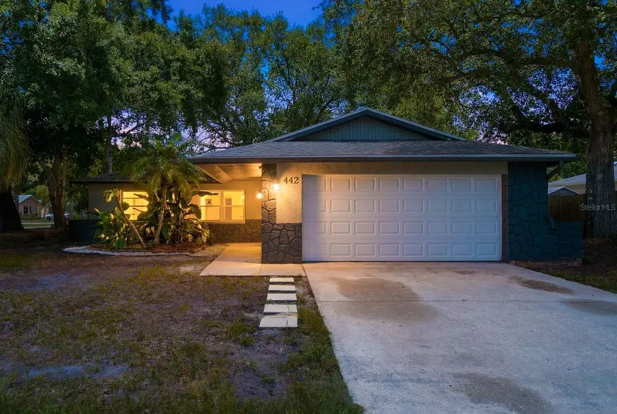 442 Evergreen Drive, Oldsmar, FL 34677 - #2
