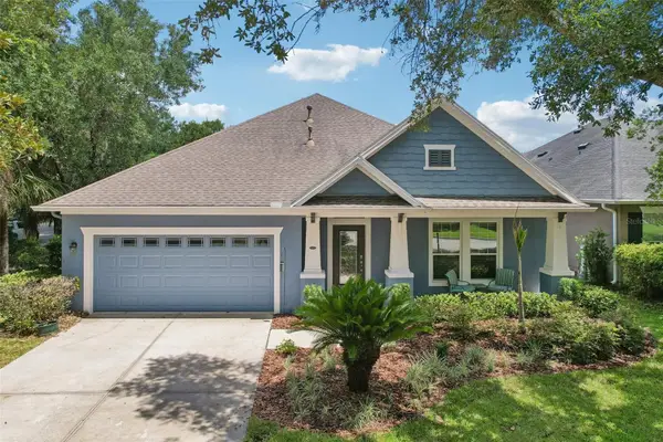 15863 Starling Water Drive, LITHIA, FL 33547