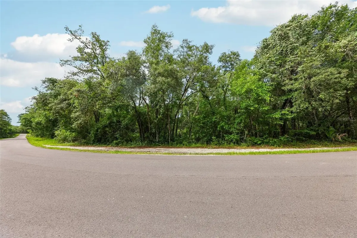 33340 Tombstone St, Webster, FL 33597 - #1