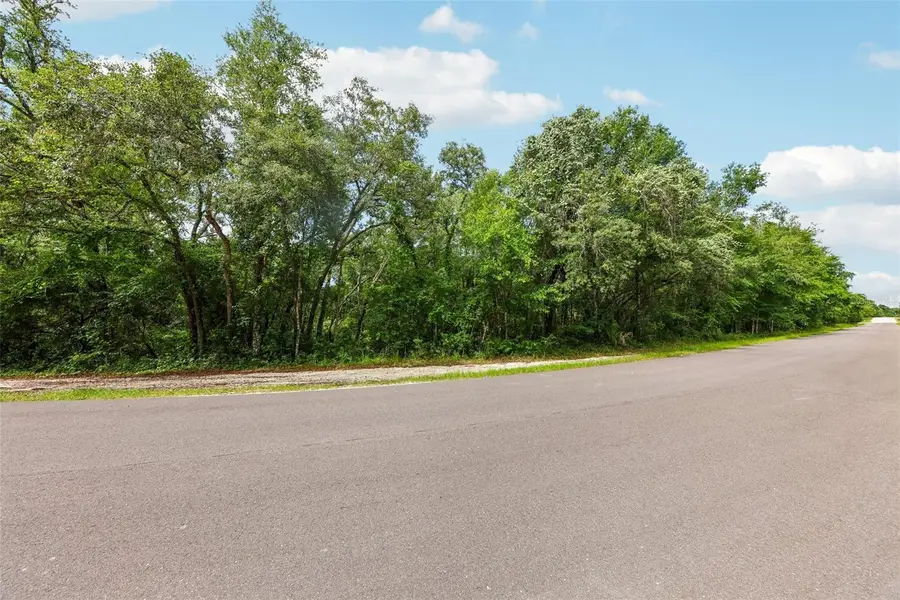 33340 Tombstone St, Webster, FL 33597 - #3
