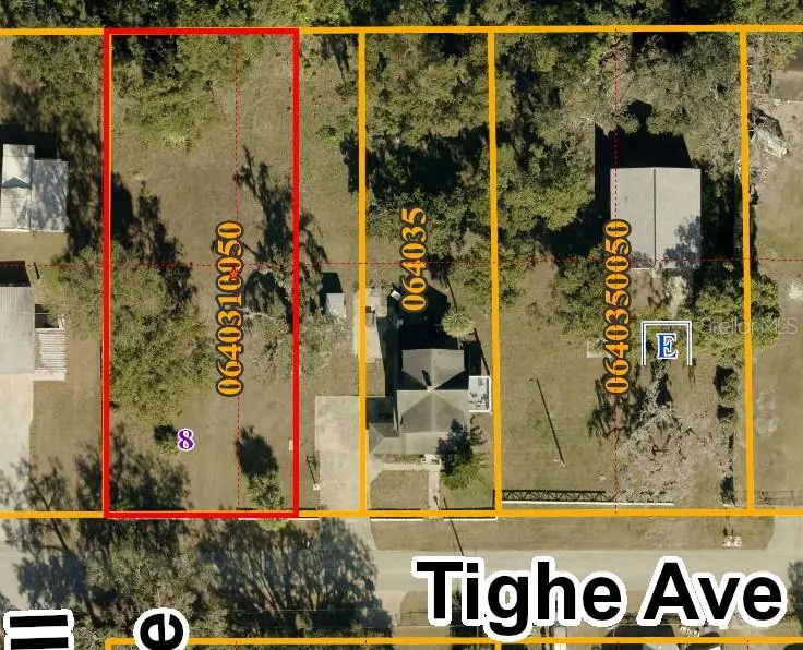 Tighe Street, Seffner, FL 33584 - #2