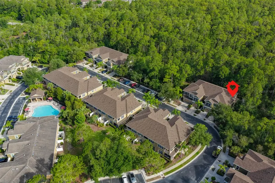 12646 Silverdale Street, Tampa, FL 33626 - #2