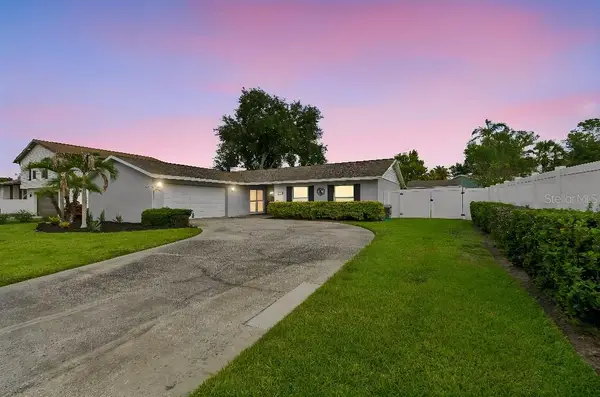 4009 Mountain Springs Lane, TAMPA, FL 33624