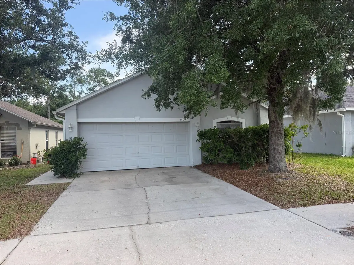 6529 Tabogi Trail, Wesley Chapel, FL 33545 - #1