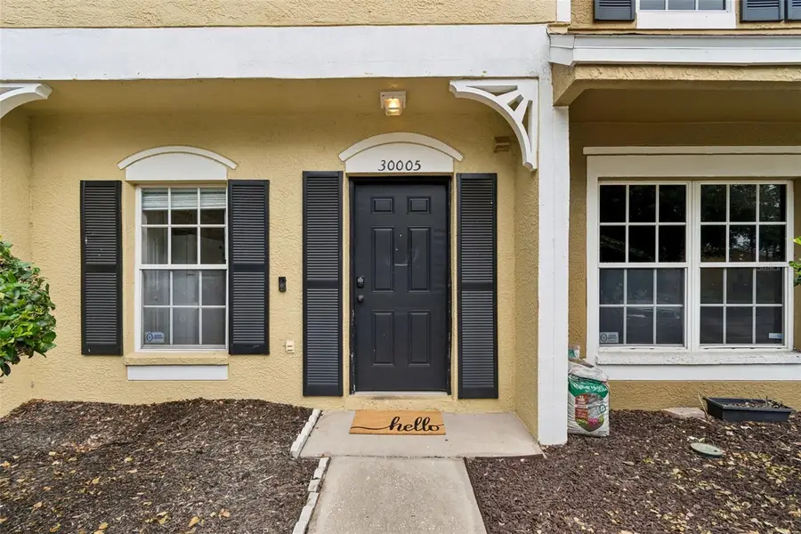 30005 Granda Hills Court, Wesley Chapel, FL 33543 - #3
