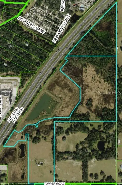 28651 Tupper Road, Wesley Chapel, FL 33545 - #2