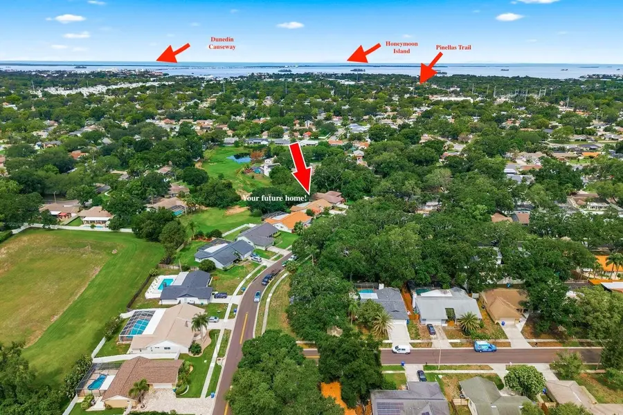341 Arbor Drive W, Palm Harbor, FL 34683 - #2