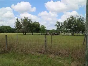 11819 Tarpon Springs Road, Odessa, FL 33556 - #1
