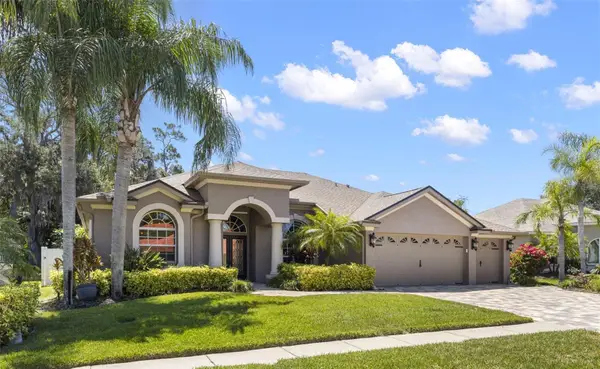 695 Salt Lake Drive, TARPON SPRINGS, FL 34689