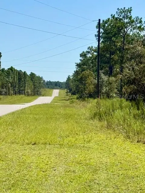 135 Court Se, Dunnellon, FL 34431 - #3