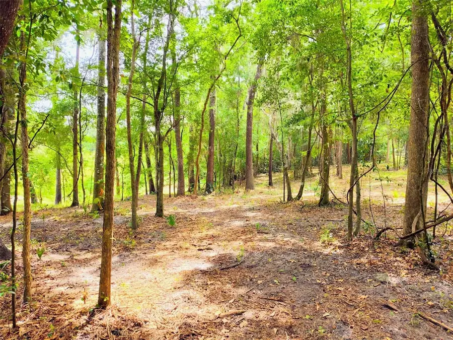 Fitzhugh Avenue, Brooksville, FL 34601 - #3