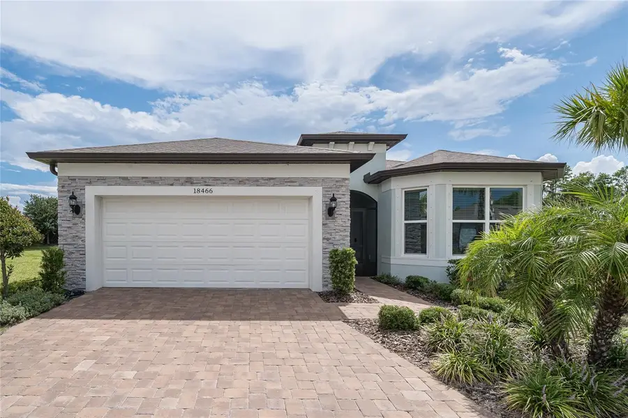 18466 Coastal Shore Terrace, Land O Lakes, FL 34638 - #2