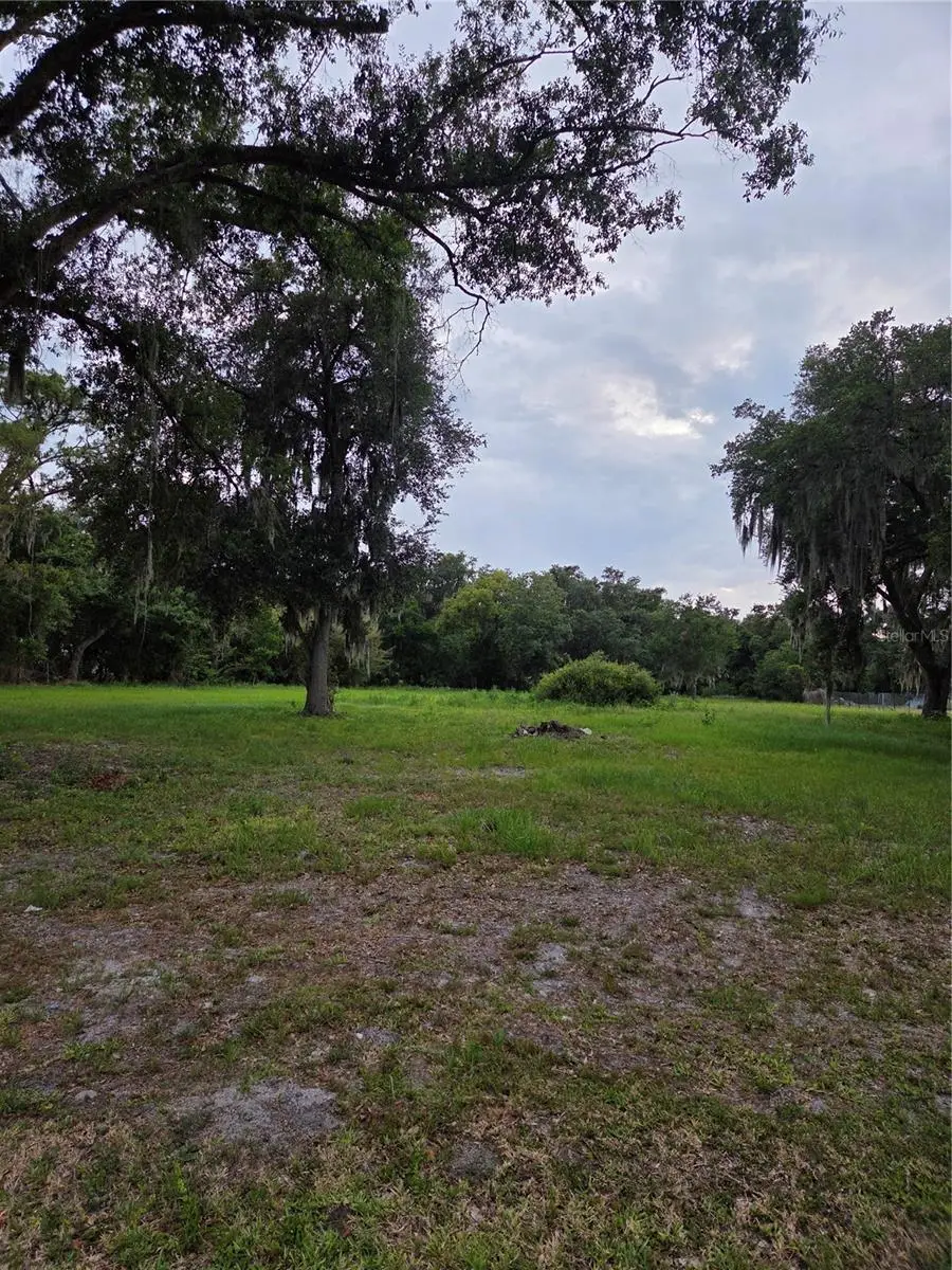 10716 Mcintosh Road, Thonotosassa, FL 33592 - #2