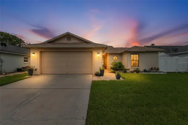 8715 Hampden Drive, TAMPA, FL 33626