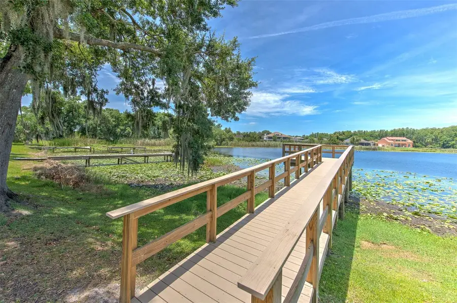 2459 Shorewood Lane, Land O Lakes, FL 34639 - #3
