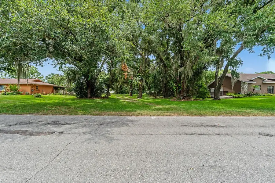 22244 Shoreside Drive, Land O Lakes, FL 34639 - #2