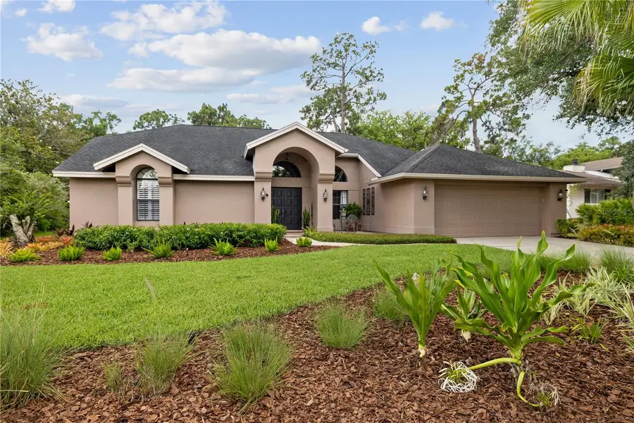 3372 Brian Road S, Palm Harbor, FL 34685 - #2