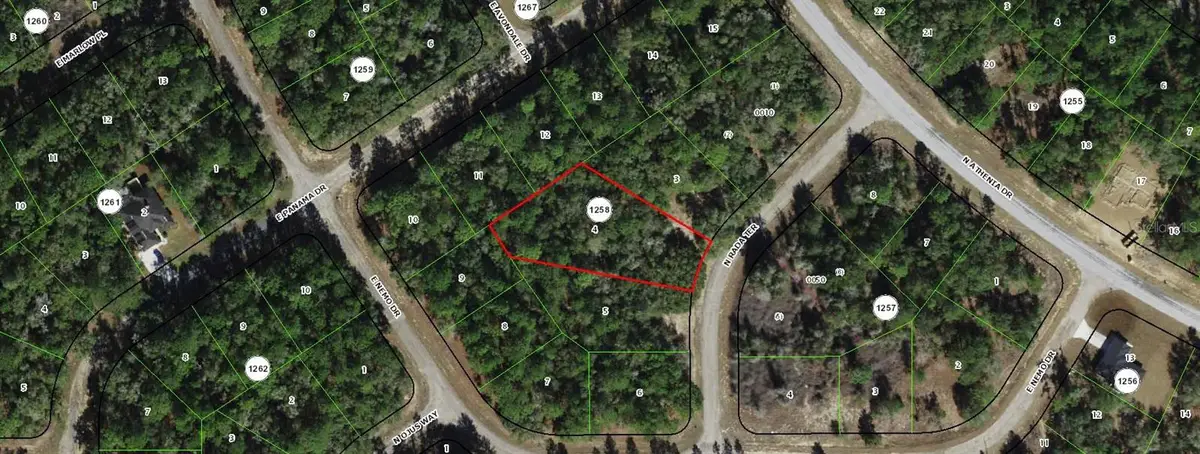 9328 N Rada Terrace, Dunnellon, FL 34434 - #1