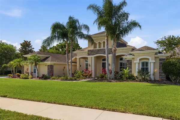 3162 Foxwood Lane, TARPON SPRINGS, FL 34688
