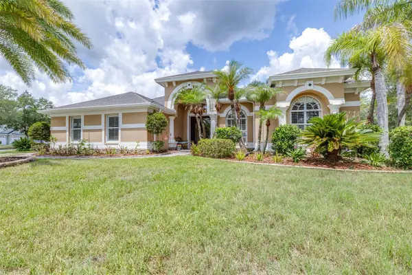5018 Ashington Landing Drive, TAMPA, FL 33647