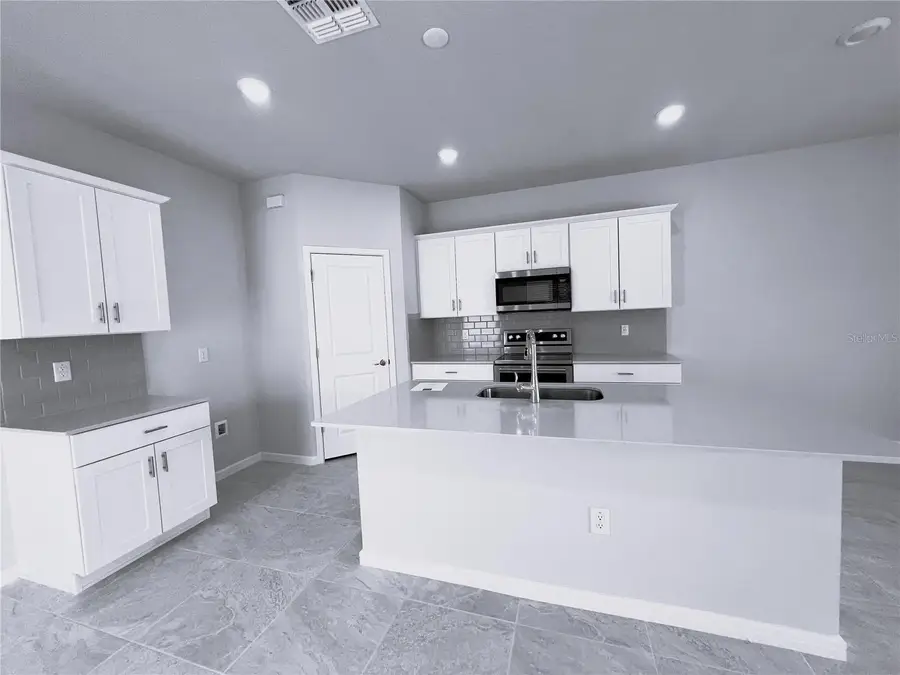 19646 Shady Oak Drive, Land O Lakes, FL 34638 - #2