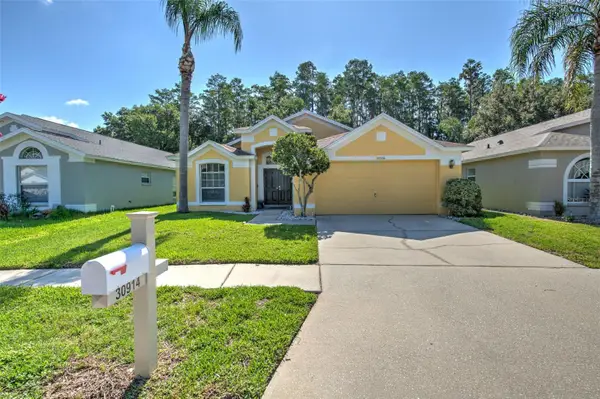 30914 Burleigh Drive, WESLEY CHAPEL, FL 33543