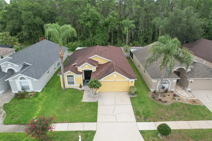 30914 Burleigh Drive, Wesley Chapel, FL 33543 - #3