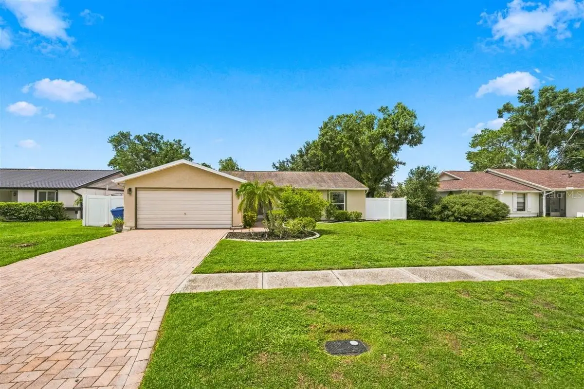 5309 Black Pine Drive, Tampa, FL 33624 - #1