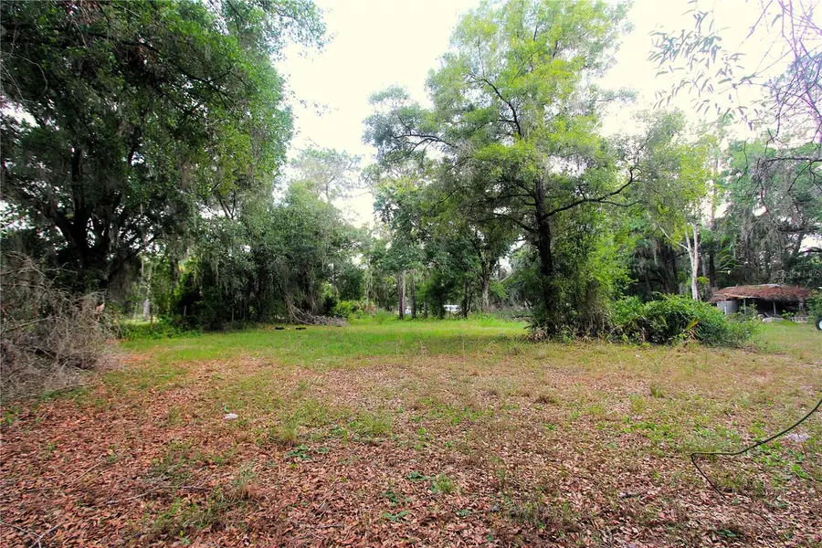 38319 County Line Road, Zephyrhills, FL 33540 - #2