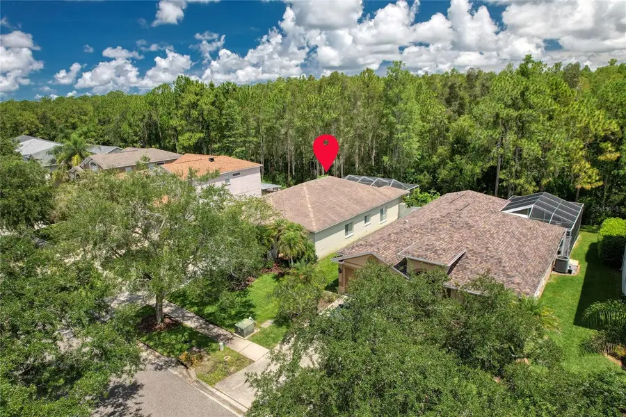 13220 Royal George Avenue, Odessa, FL 33556 - #2
