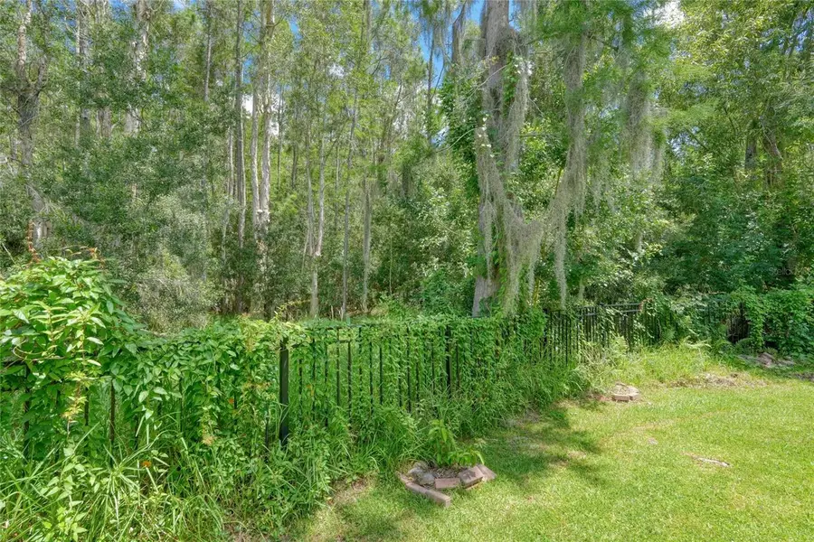 13220 Royal George Avenue, Odessa, FL 33556 - #3