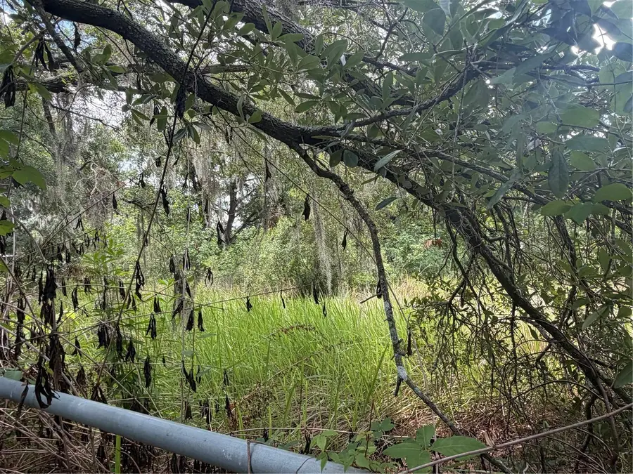 4447 Edwards Rd, Plant City, FL 33567 - #3
