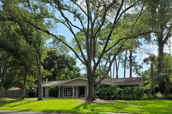 8313 Pat Boulevard, TAMPA, FL 33615
