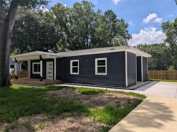 14232 Chisholm Lane, ODESSA, FL 33556