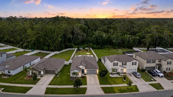 13411 Willow Bluestar Loop, RIVERVIEW, FL 33579