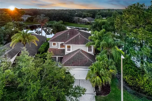 9907 Bridgeton Drive, TAMPA, FL 33626