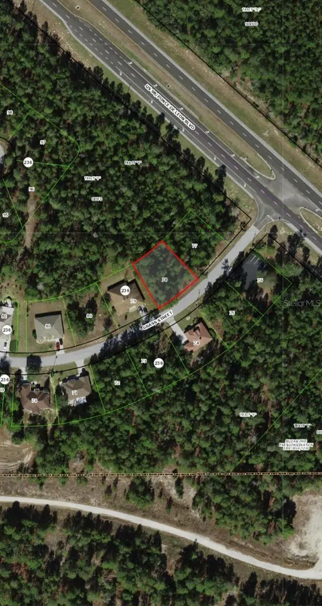 111 Grass Street, Homosassa, FL 34446 - #1