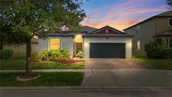 10222 Celtic Ash Drive, RUSKIN, FL 33573