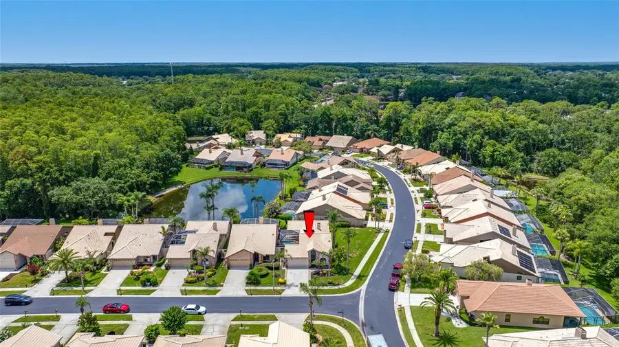 5450 Greyston Street, Palm Harbor, FL 34685 - #2