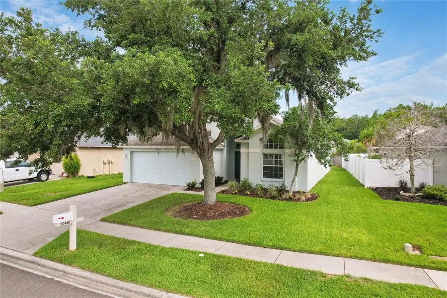 30446 Tremont Drive, Wesley Chapel, FL 33543 - #3