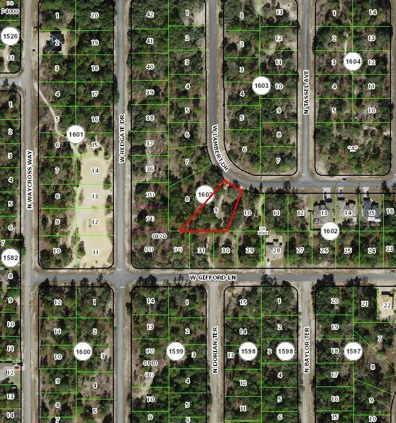 2872 W Lambert Drive, Dunnellon, FL 34433 - #2
