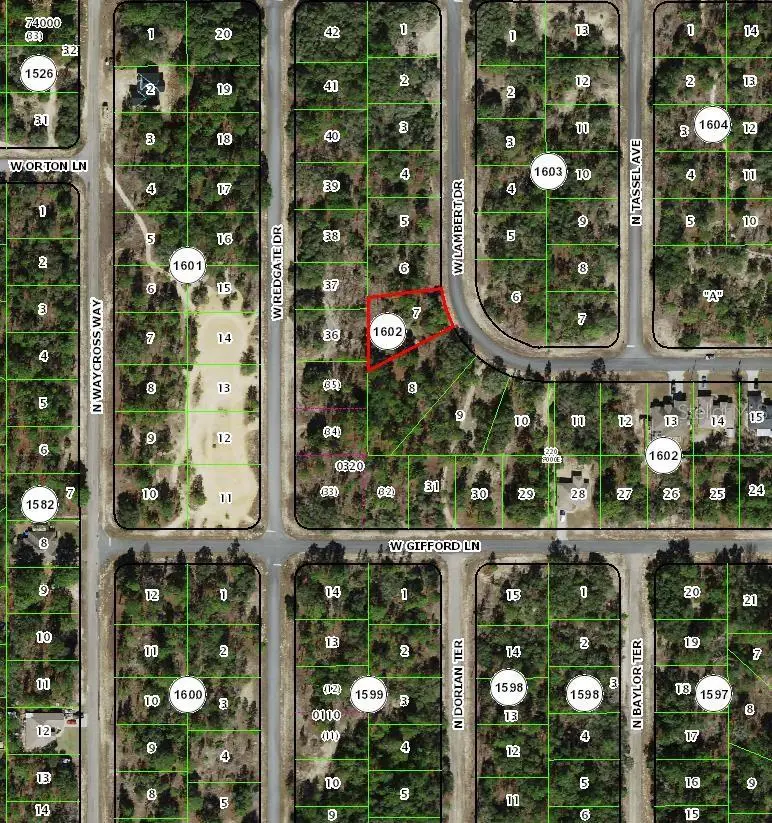 2882 W Lambert Drive, Dunnellon, FL 34433 - #2