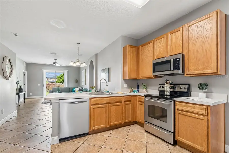 27211 Liriope Court, Wesley Chapel, FL 33544 - #2
