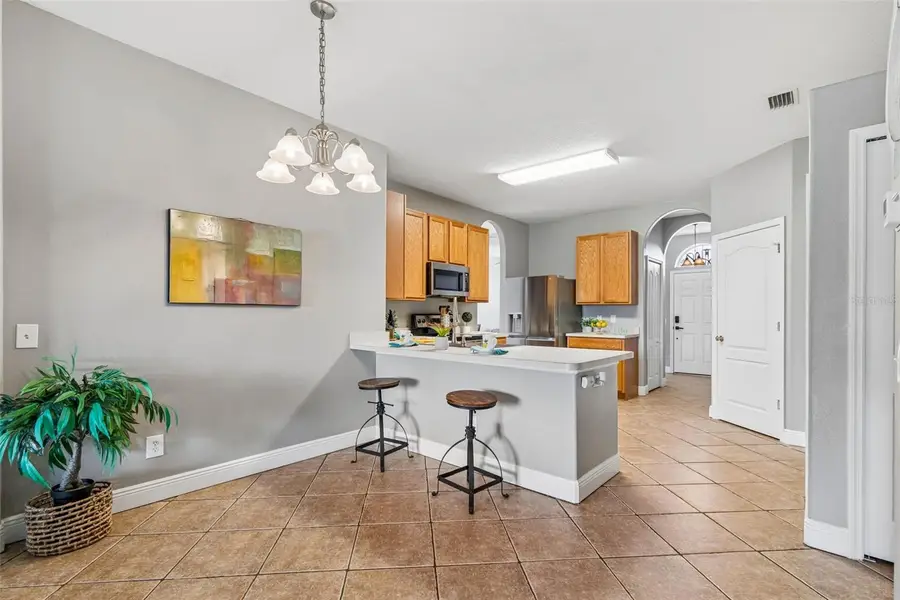 27211 Liriope Court, Wesley Chapel, FL 33544 - #3
