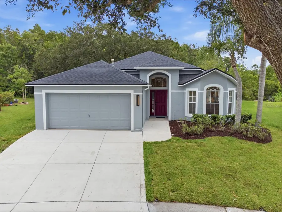 6003 Chellas Court, Lutz, FL 33558 - #2