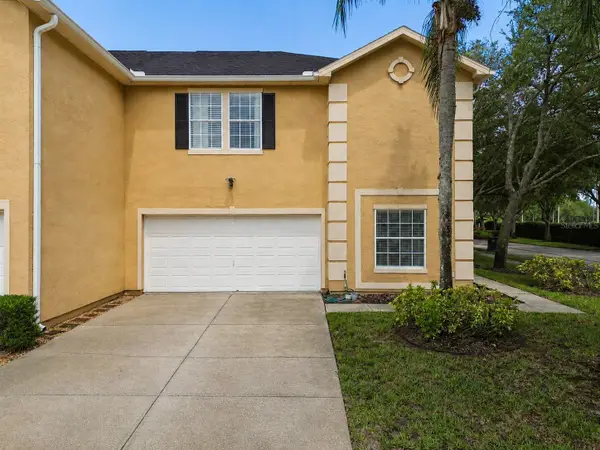 6224 Clifton Palms Drive, TAMPA, FL 33647