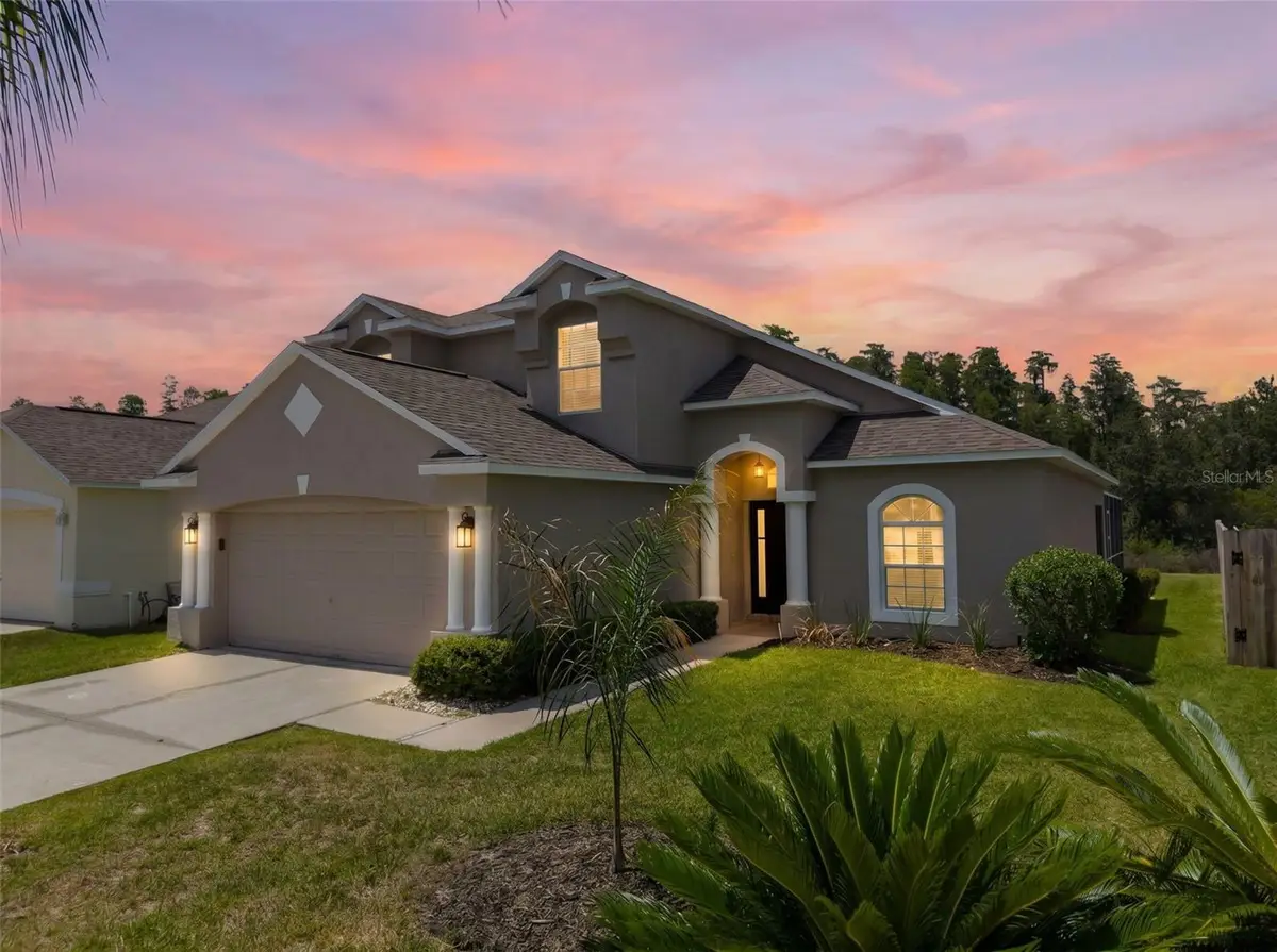 30609 Tremont Drive, Wesley Chapel, FL 33543 - #1
