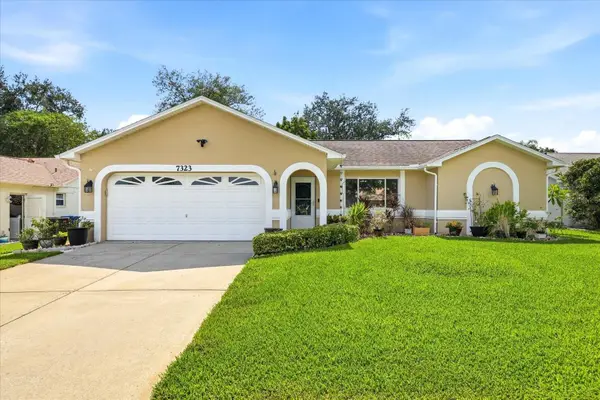 7323 Skyview Avenue, NEW PORT RICHEY, FL 34653
