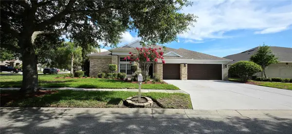 25638 Ferdinand Court, WESLEY CHAPEL, FL 33544